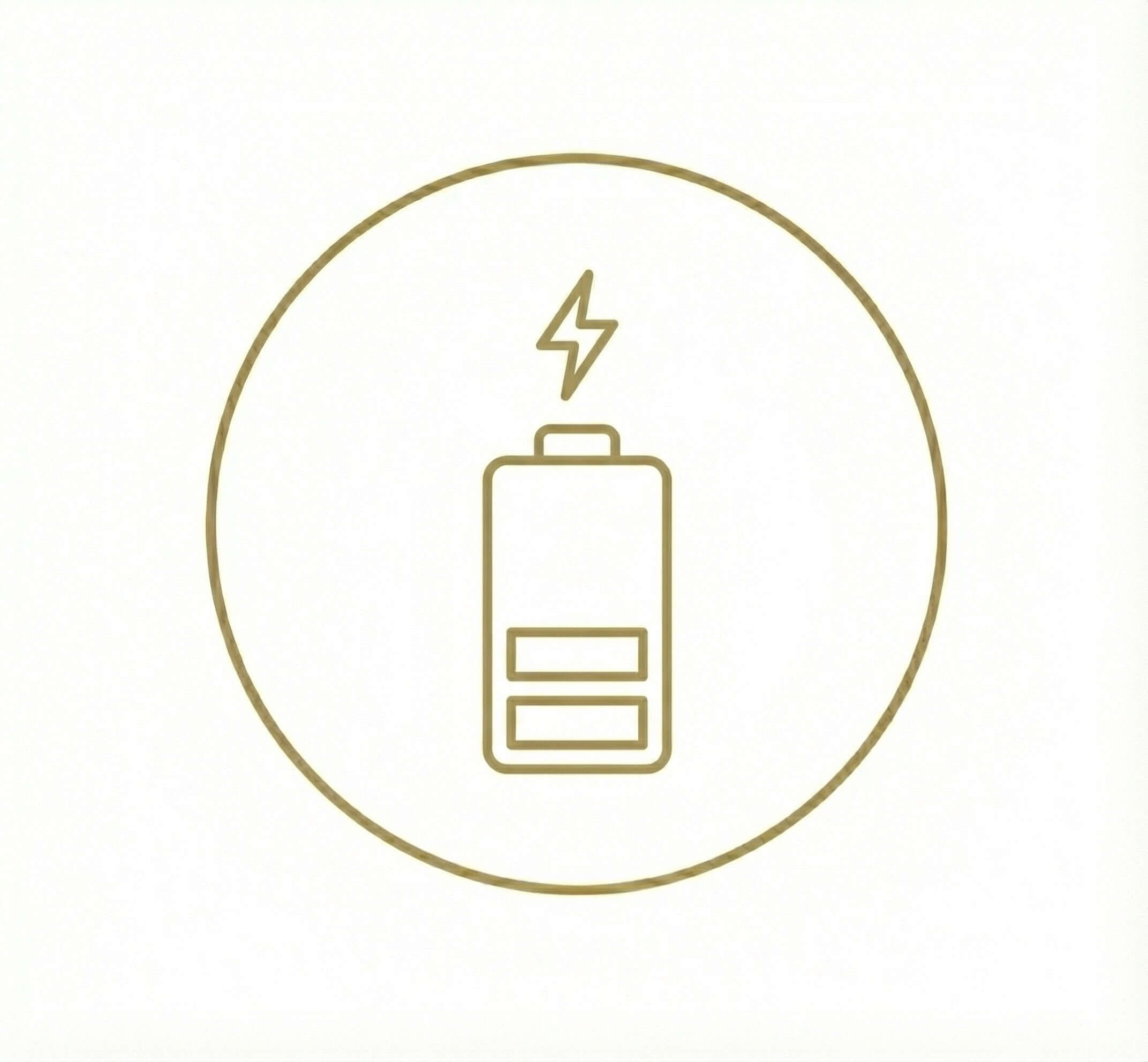 pleniage energy pro icono bateria - exigencia laboral o académica - combatir el agotamiento físico sin estimulantes agresivos - mantener la concentración durante largas jornadas