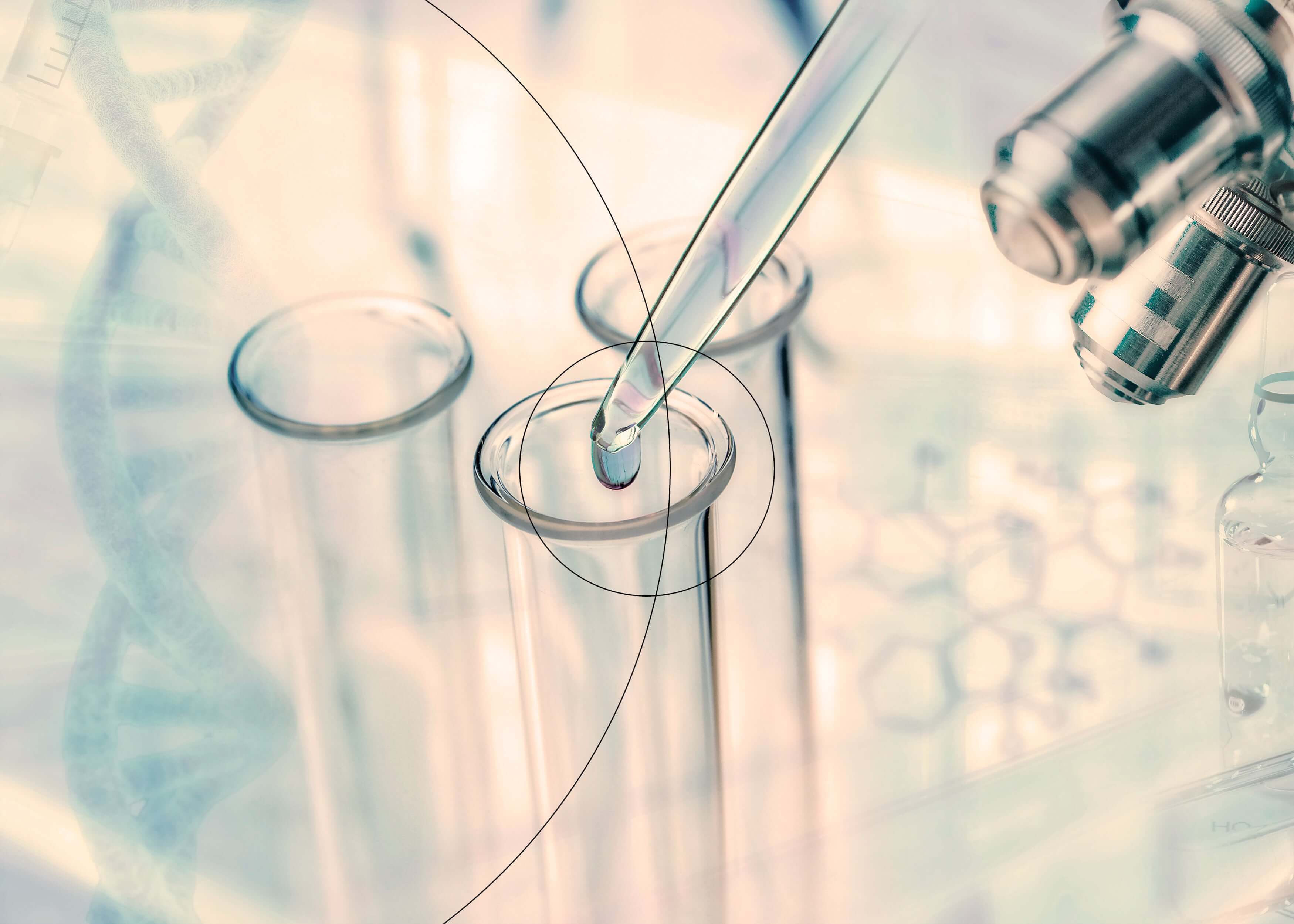 Pleniage imagen laboratorio investigacion R&D