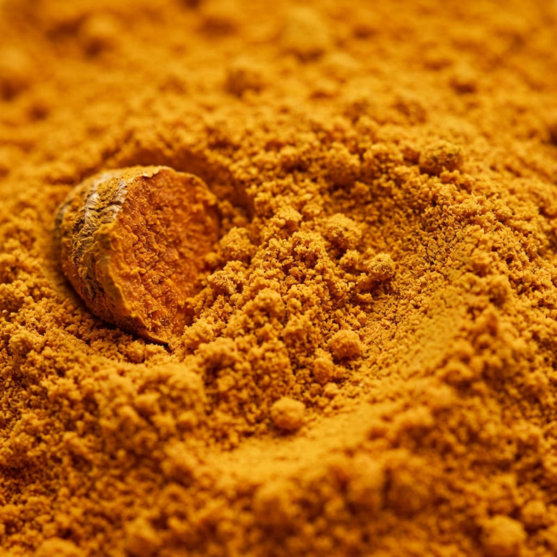Cúrcuma (Curcuma longa)