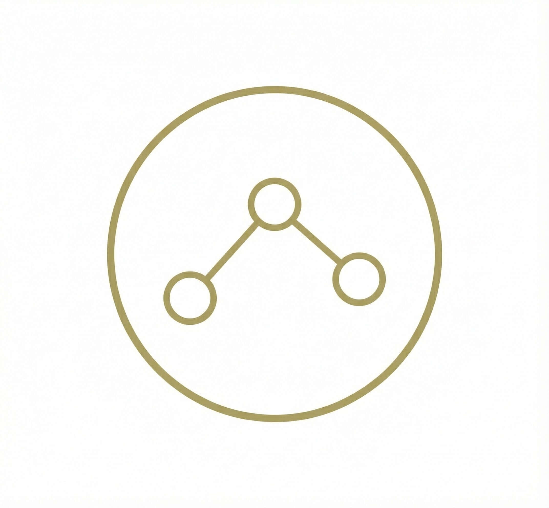 pleniage antiox pro escudo antioxidante curcuma-defensa inmune eficacia del sistema inmunitario. Sinergia Celular con NAC, Glutatión y CoQ10