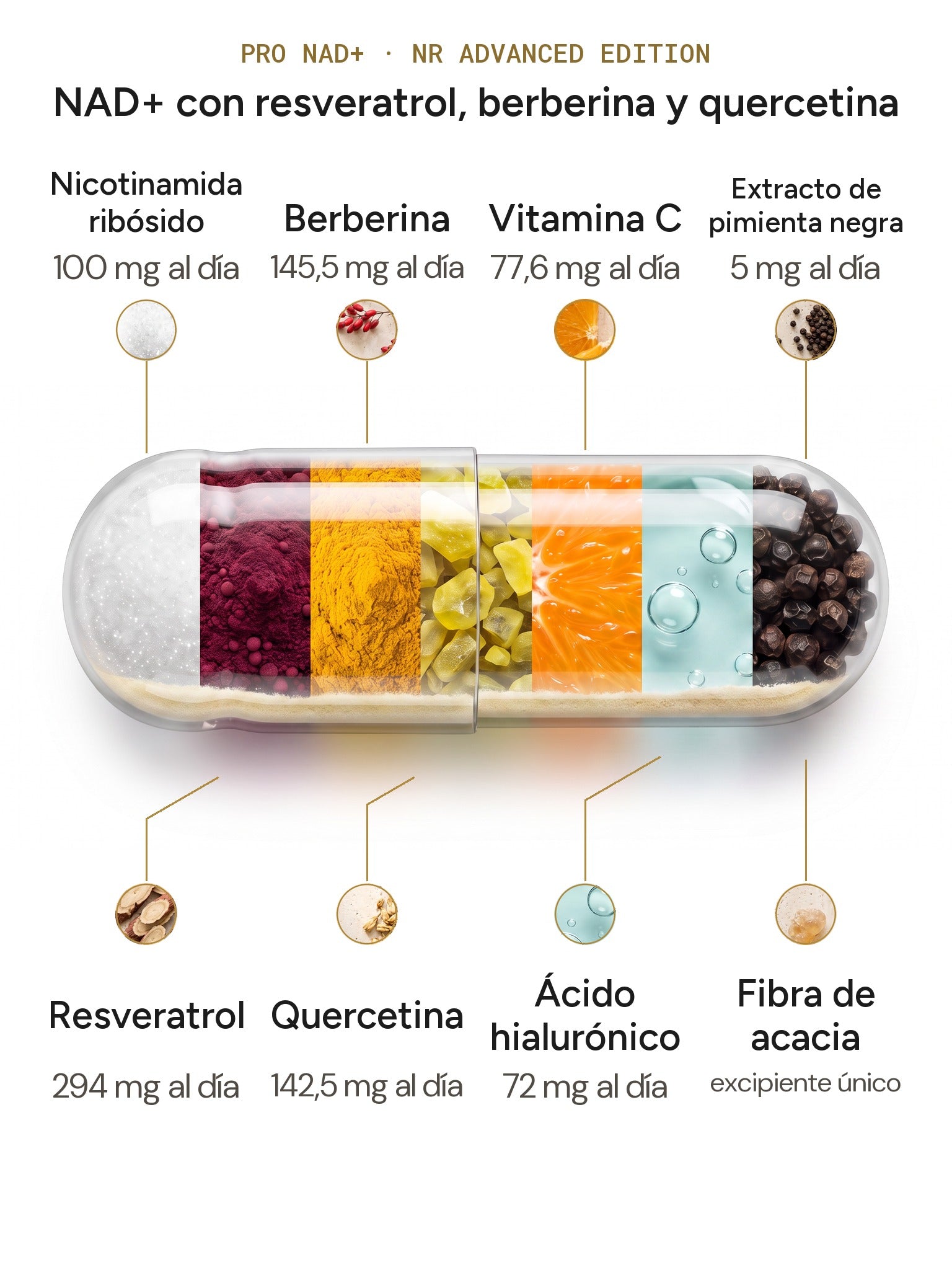 PRO NAD+ NR Advanced Edition por dentro: NR, resveratrol, berberina, quercetina, vitamina C, hialurónico y pimienta negra