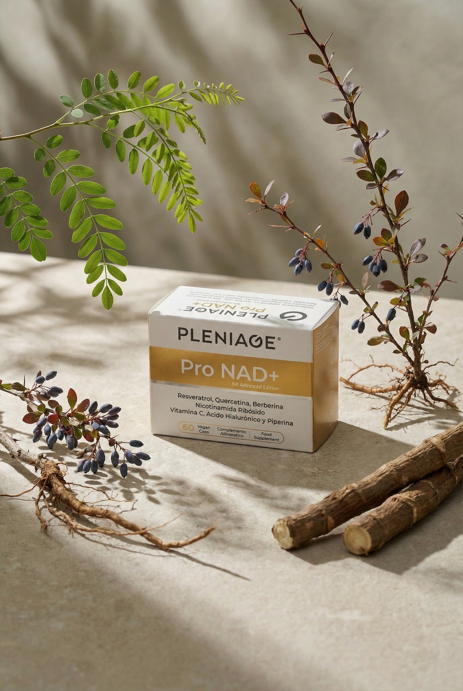 PLENIAGE PRO NAD+ NR Advanced Edition junto a raíz de Polygonum cuspidatum, agracejo y hojas de acacia sobre piedra